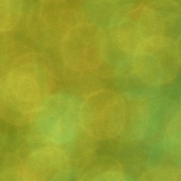 Bokeh-396